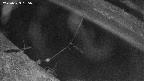 area10-20250323185034.jpg