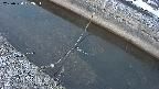 area10-20250324052034.jpg