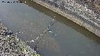 area10-20250324144036.jpg