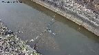 area10-20250324145036.jpg