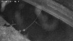 area10-20250324185036.jpg