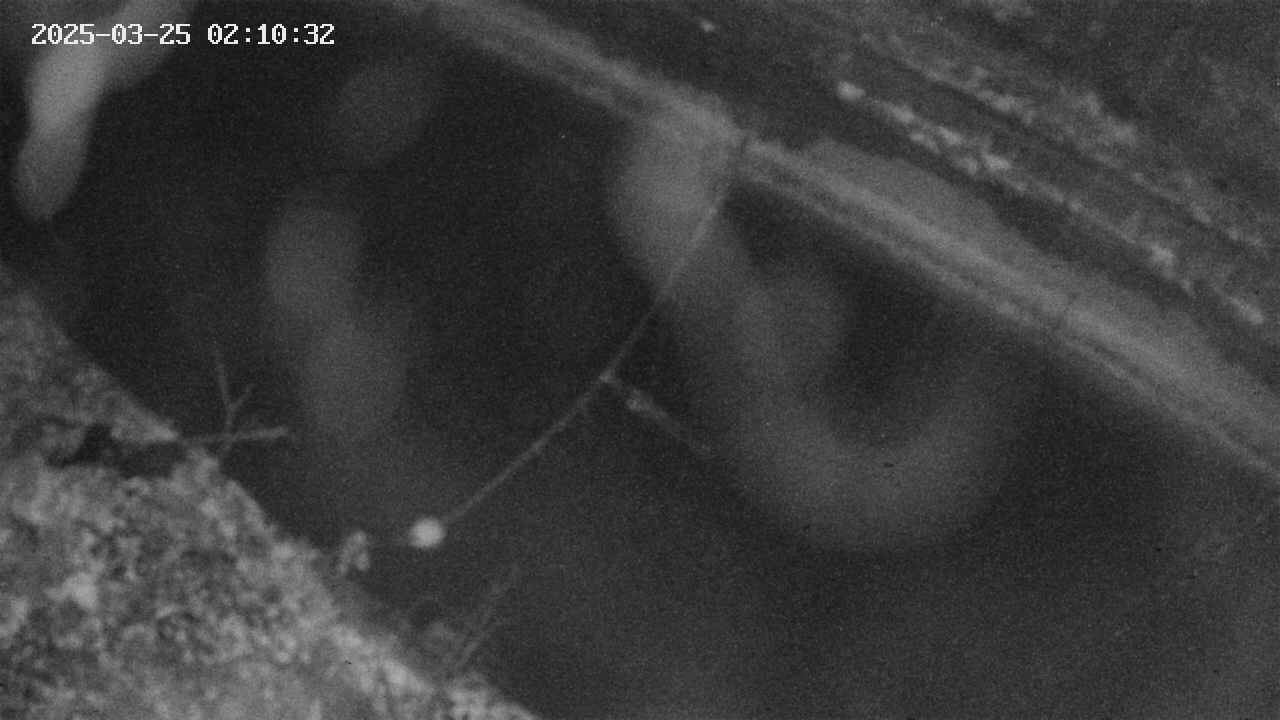 area10-20250325021034.jpg