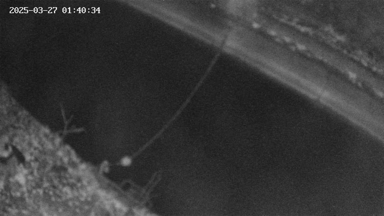 area10-20250327014035.jpg