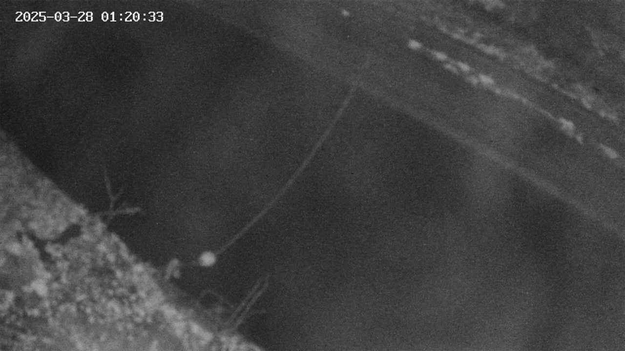 area10-20250328012034.jpg