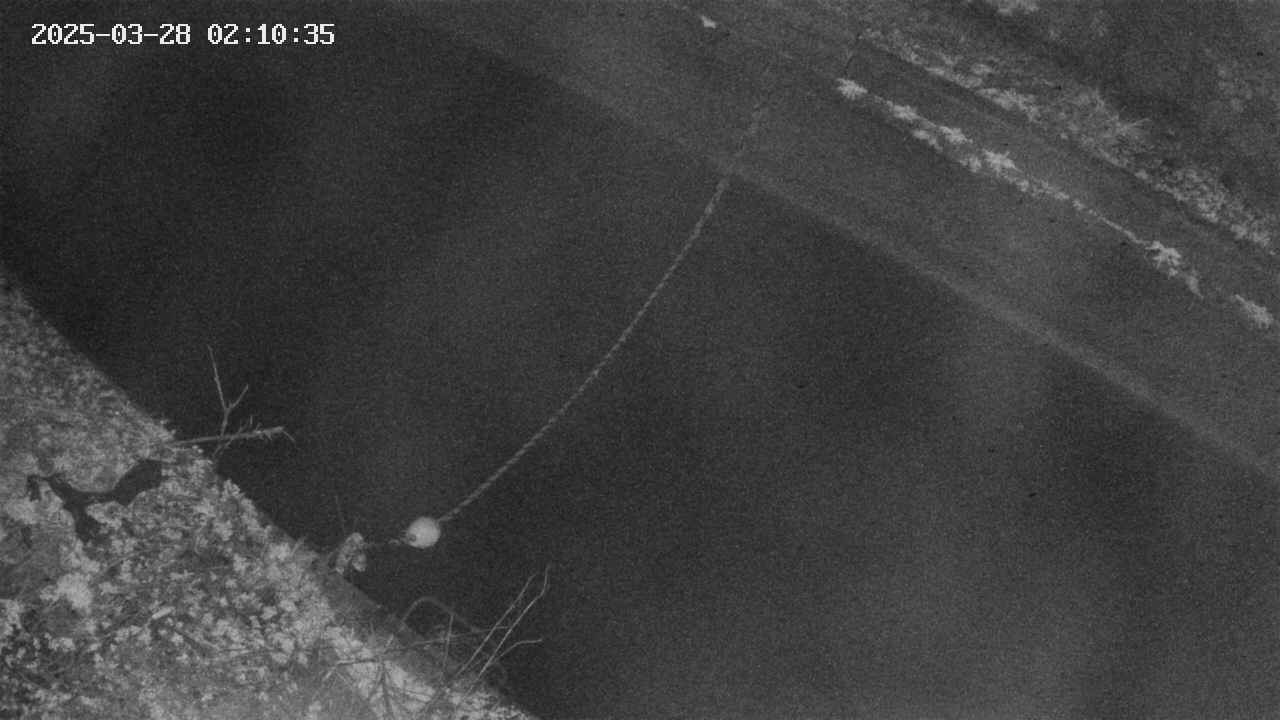 area10-20250328021036.jpg