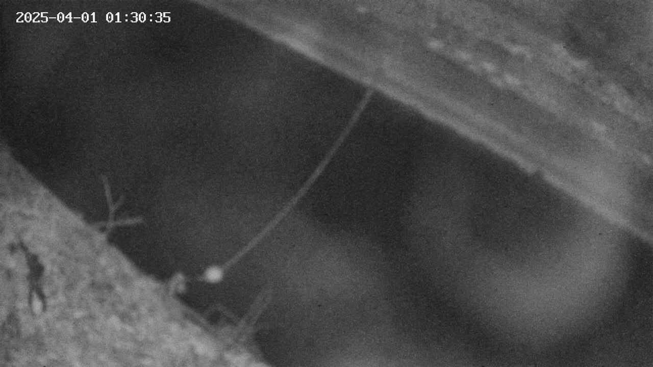 area10-20250401013037.jpg