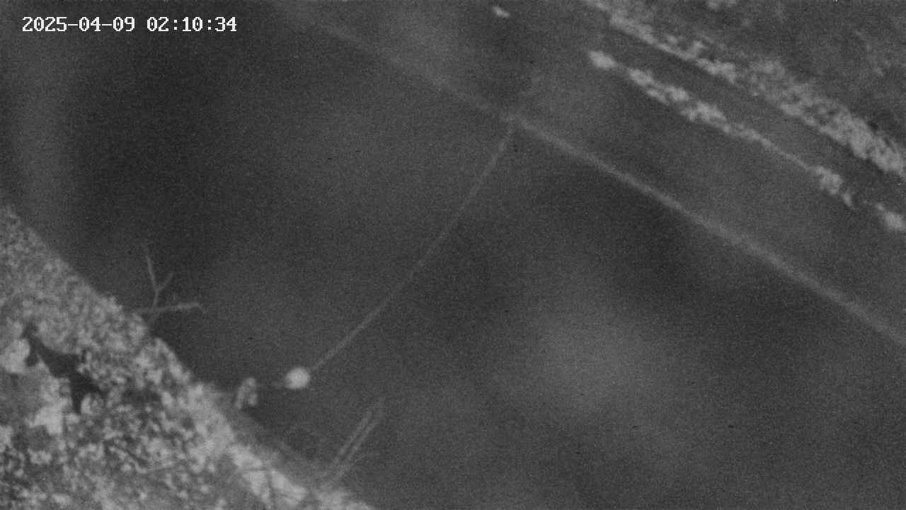 area10-20250409021036.jpg