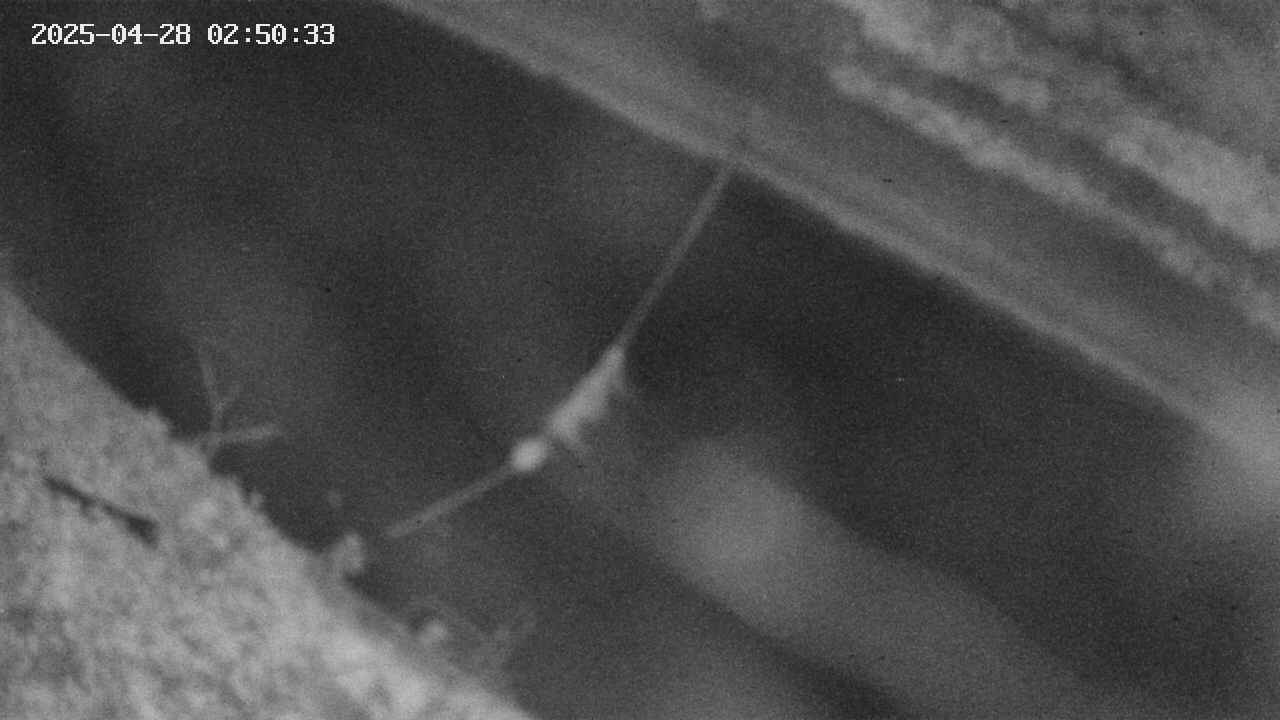 area10-20250428025034.jpg