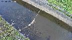 area10-20250502055035.jpg