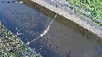 area10-20250502060037.jpg