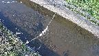 area10-20250502061033.jpg
