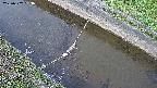 area10-20250502063037.jpg