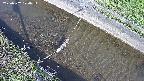 area10-20250502074035.jpg
