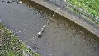 area10-20250502120037.jpg