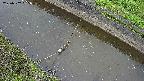 area10-20250502165034.jpg