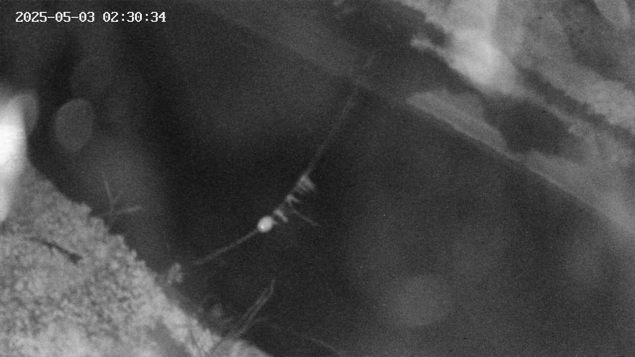 area10-20250503023035.jpg