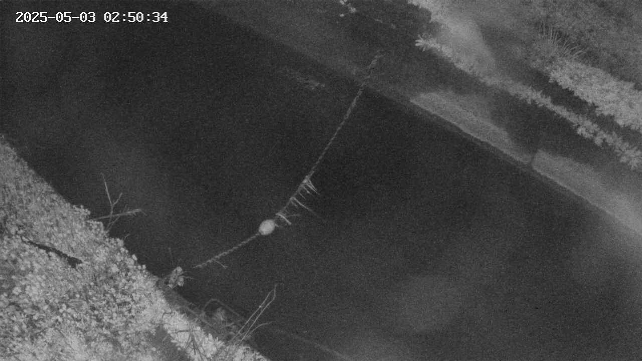 area10-20250503025035.jpg