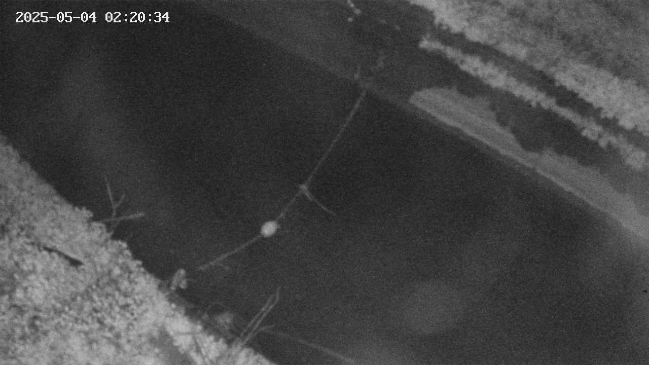 area10-20250504022035.jpg