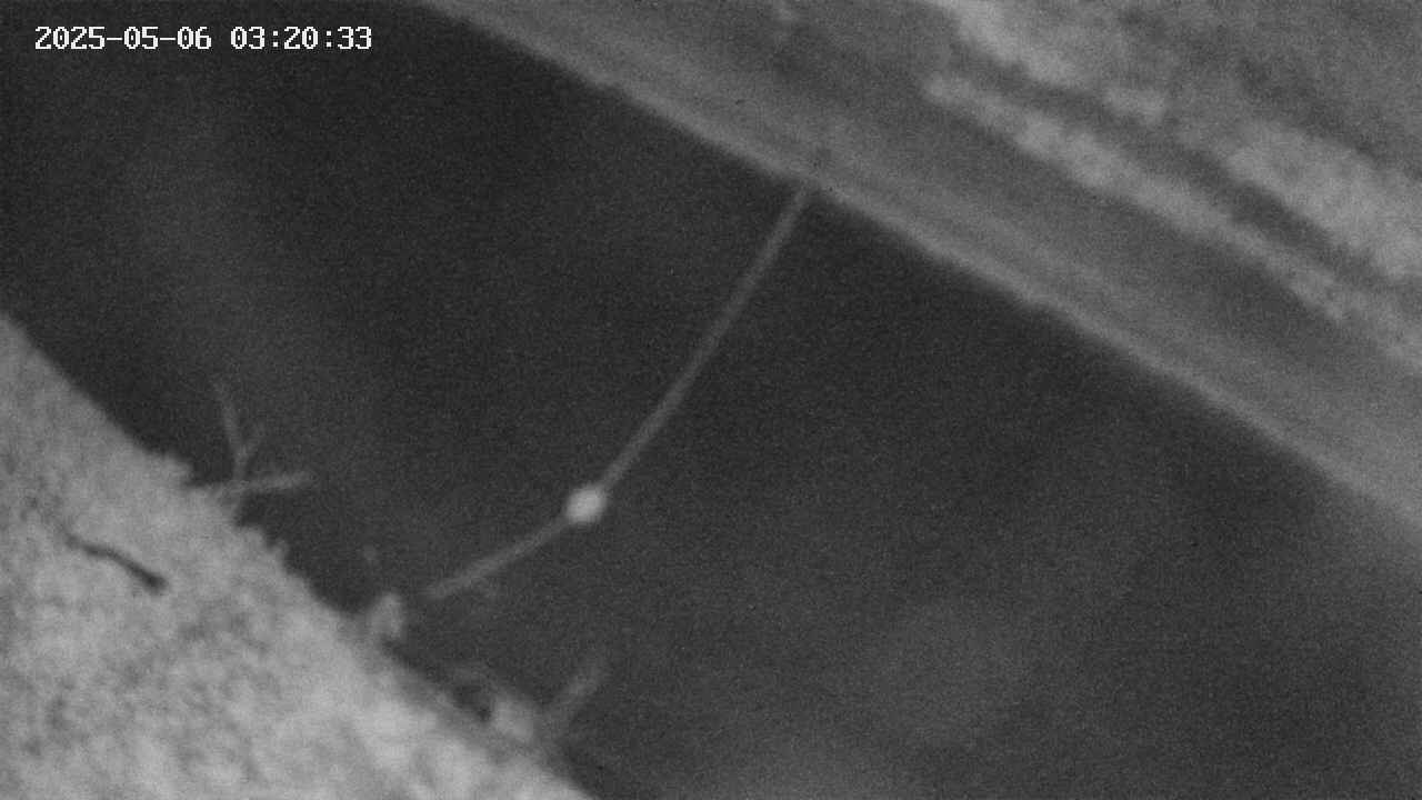 area10-20250506032034.jpg
