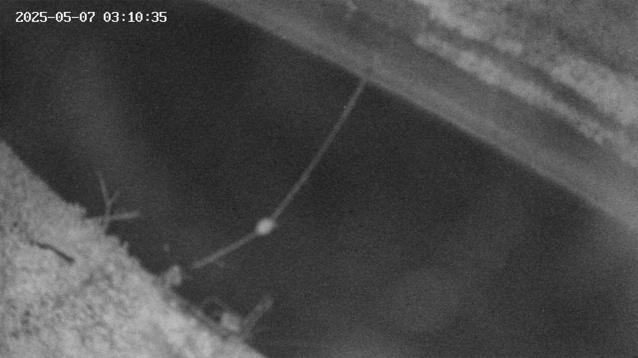 area10-20250507031035.jpg