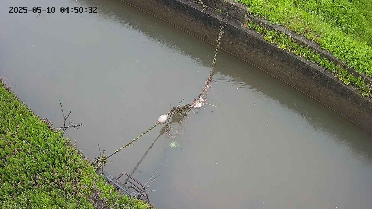 area10-20250510045033.jpg