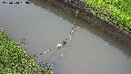 area10-20250510063035.jpg