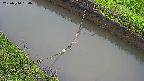 area10-20250510064034.jpg