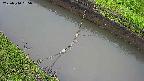 area10-20250510065035.jpg
