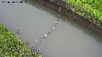 area10-20250510073035.jpg
