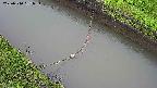 area10-20250510081035.jpg