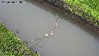 area10-20250510083035.jpg