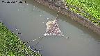 area10-20250510180033.jpg