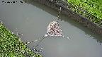 area10-20250510182036.jpg