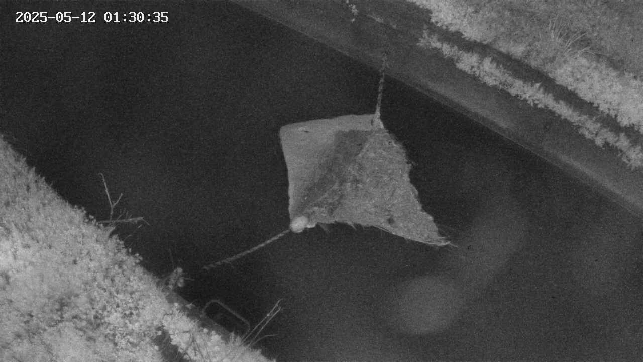 area10-20250512013036.jpg