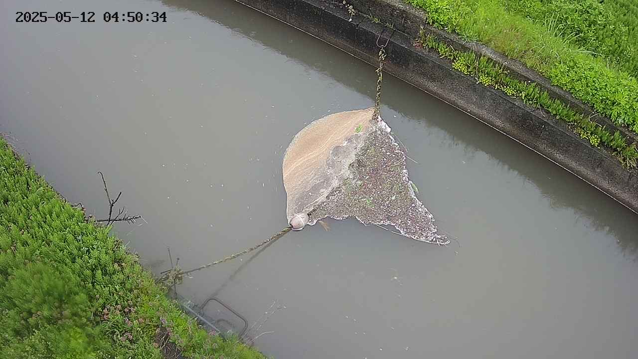 area10-20250512045036.jpg