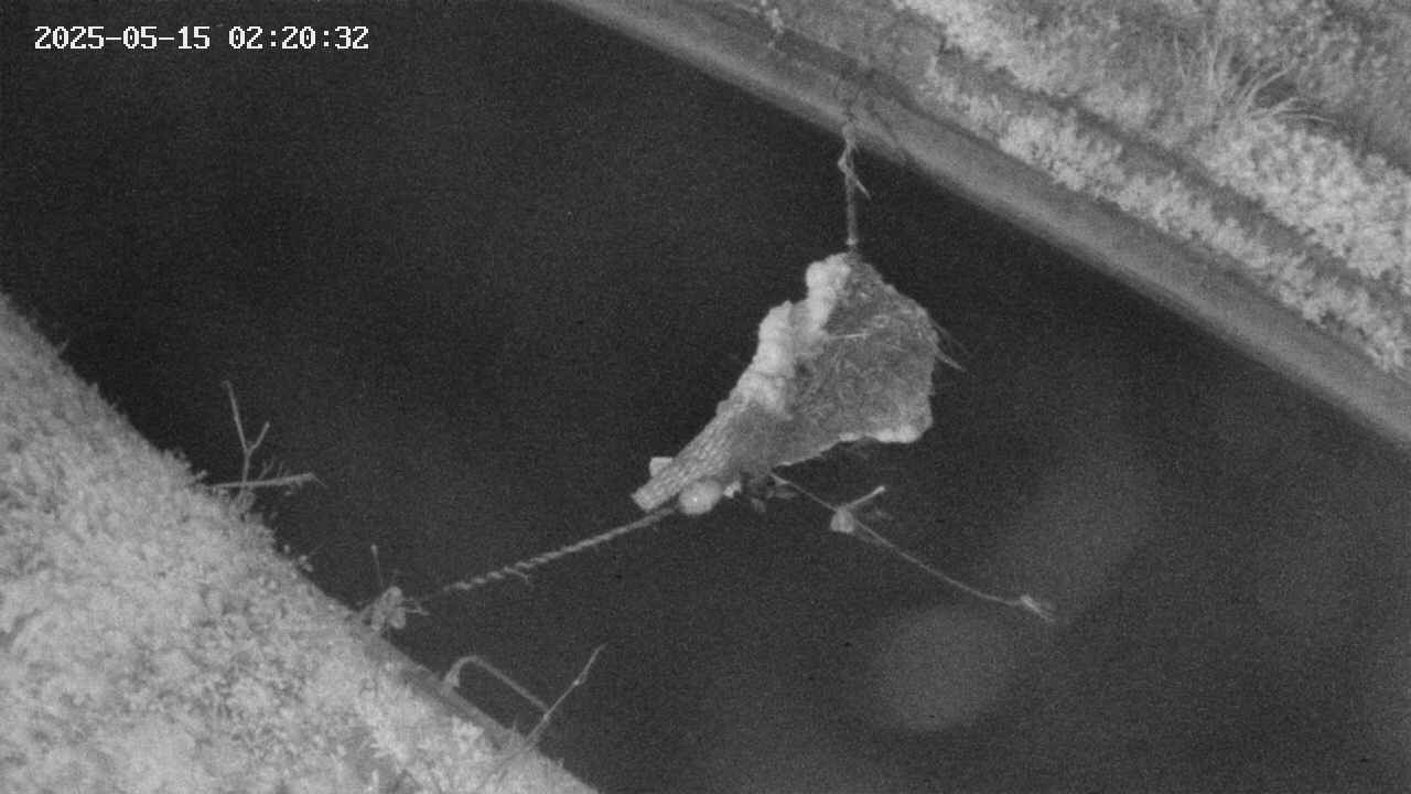 area10-20250515022036.jpg