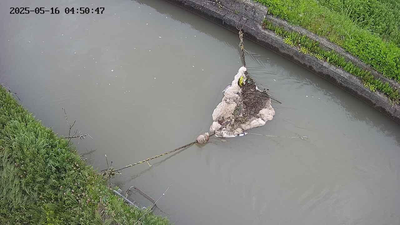 area10-20250516045049.jpg