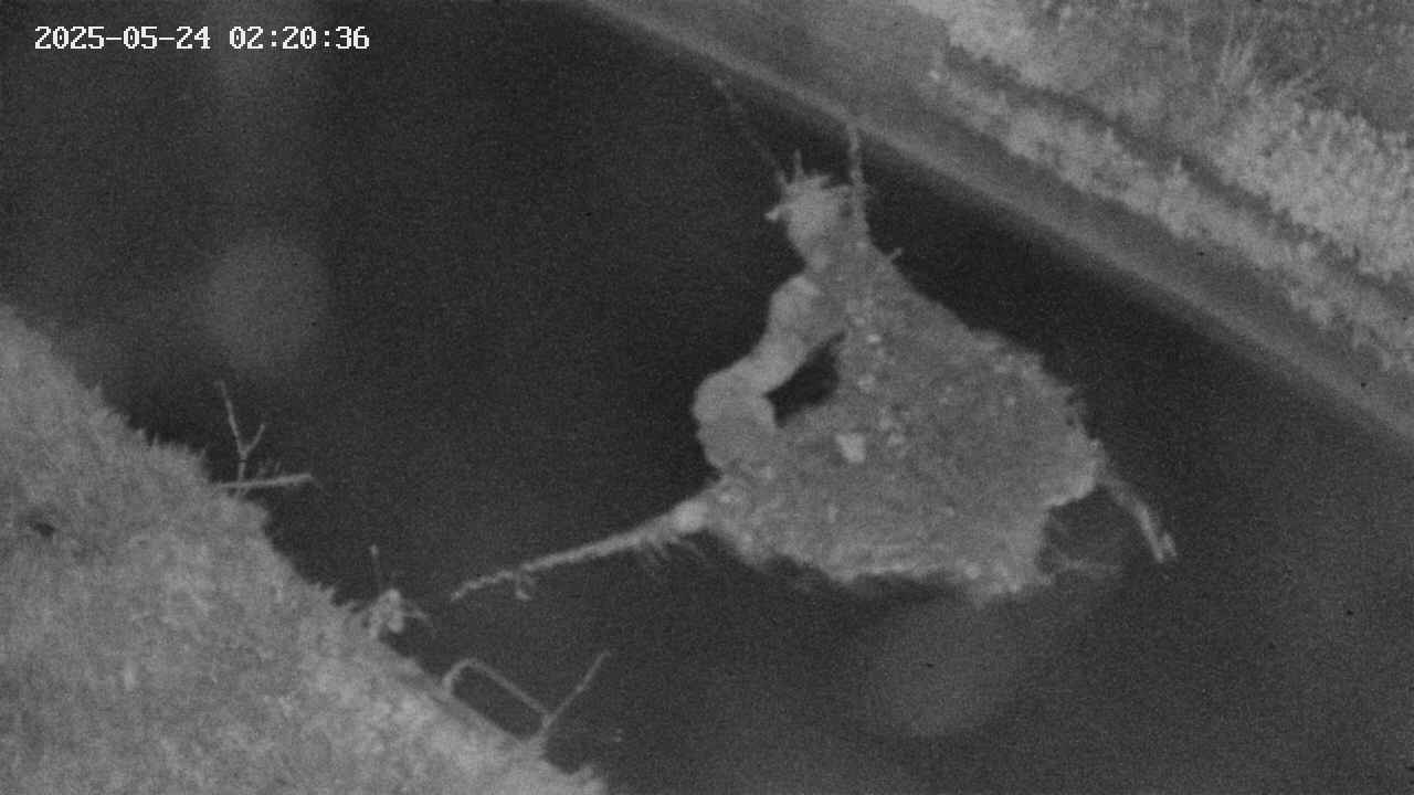 area10-20250524022037.jpg