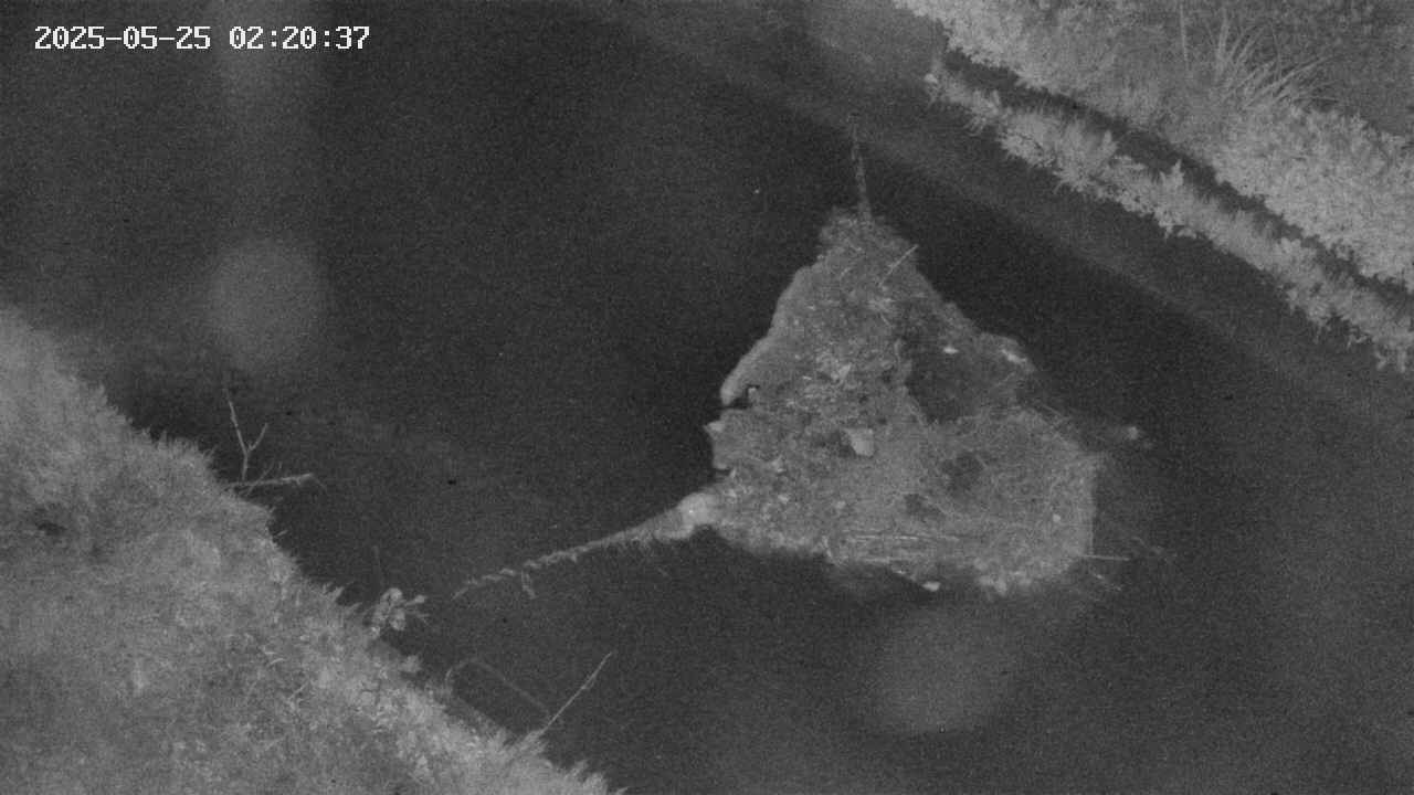 area10-20250525022038.jpg
