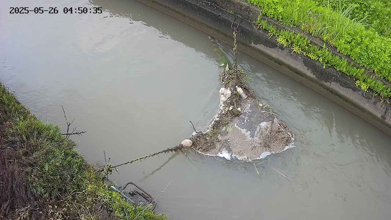 area10-20250526045036.jpg