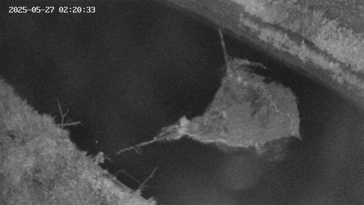 area10-20250527022035.jpg