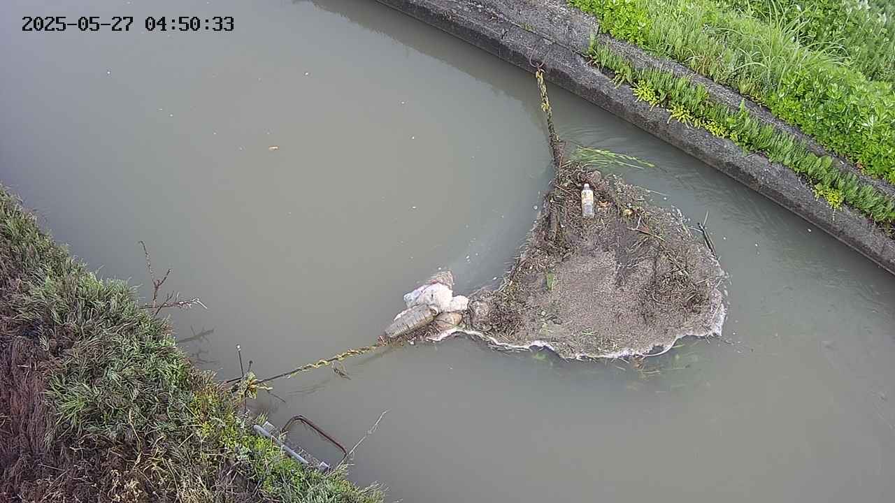 area10-20250527045035.jpg