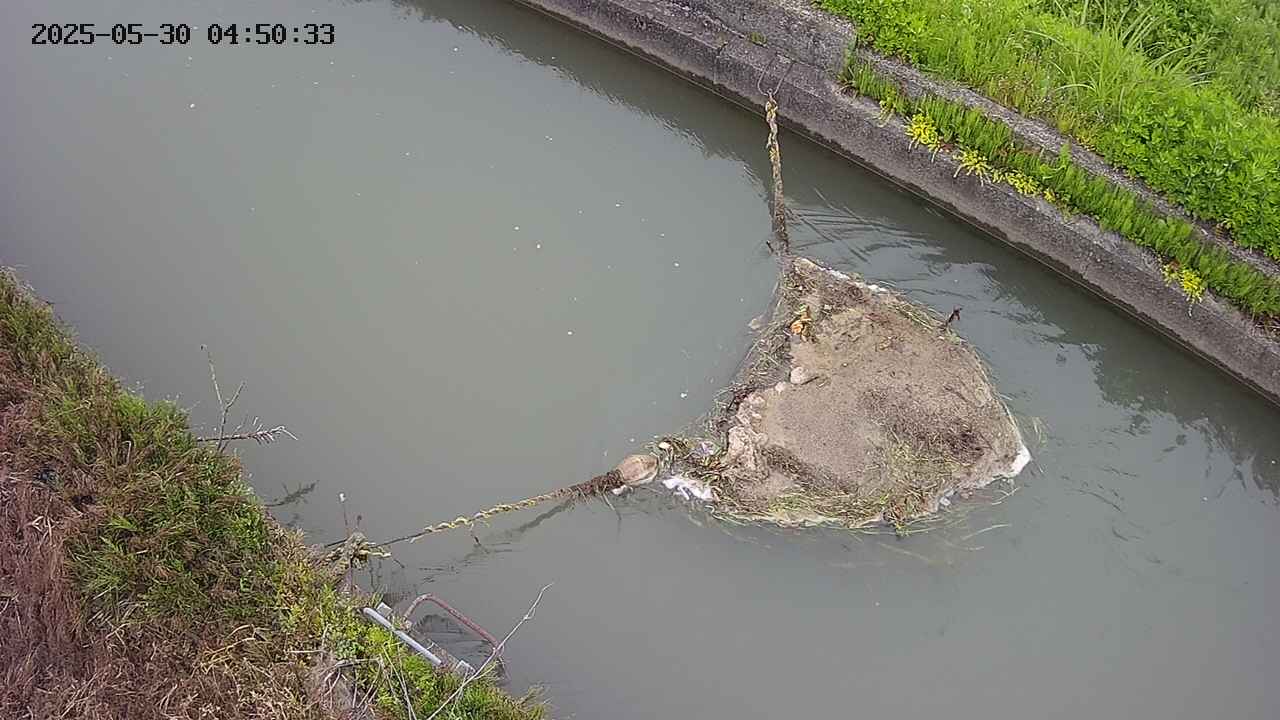 area10-20250530045034.jpg