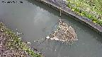 area10-20250605065034.jpg