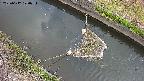 area10-20250612070036.jpg