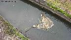 area10-20250612111035.jpg