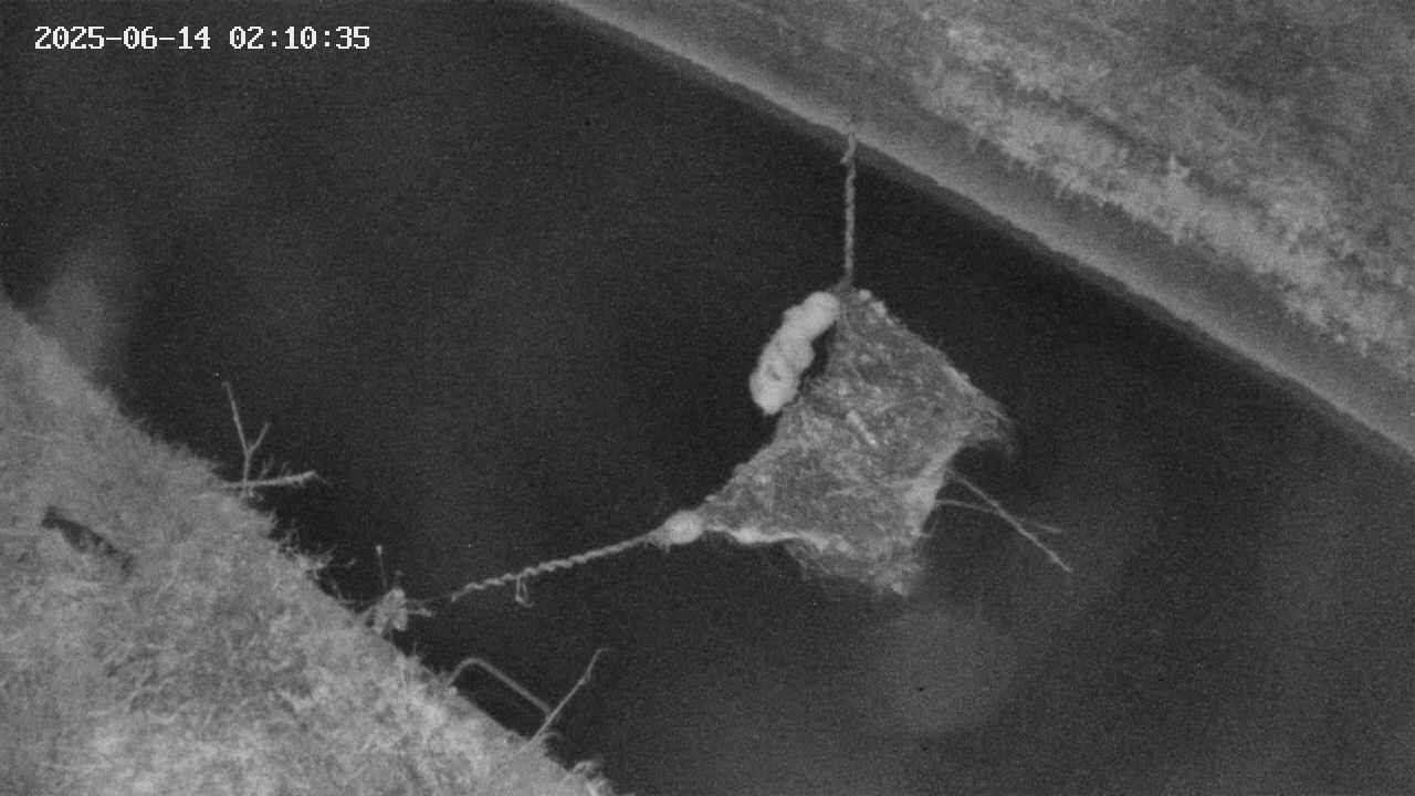 area10-20250614021036.jpg