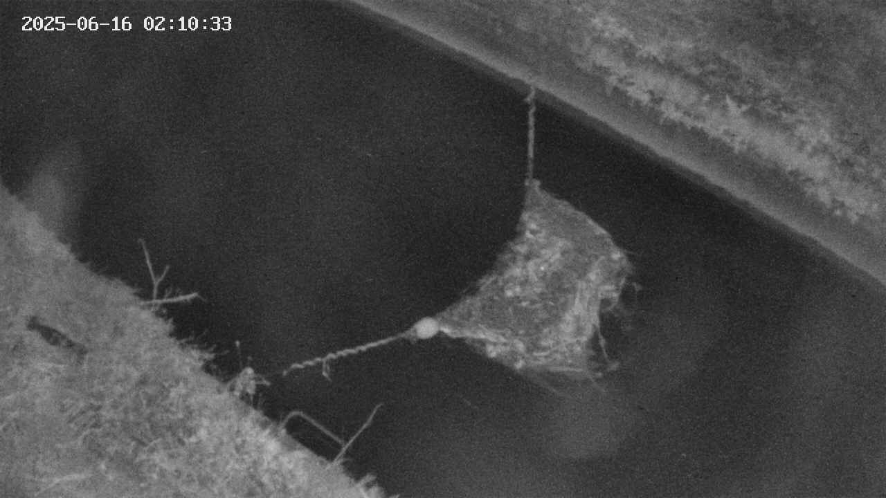 area10-20250616021034.jpg