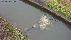 area10-20250616055036.jpg