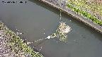area10-20250616080035.jpg